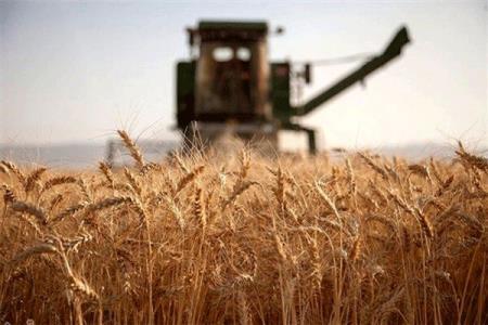 درخواست از رئیس جمهوری برای تعیین و اعلام نرخ خرید تضمینی گندم