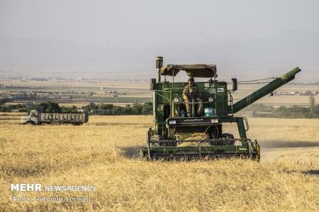 شورای نگهبان طرح اصلاح خریدتضمینی محصولات كشاورزی را تایید كند
