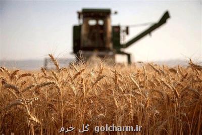 درخواست از رئیس جمهوری برای تعیین و اعلام نرخ خرید تضمینی گندم