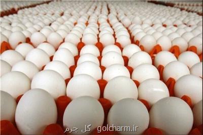 آغاز توزیع تخم مرغ با نرخ مصوب در میادین و فروشگاه ها