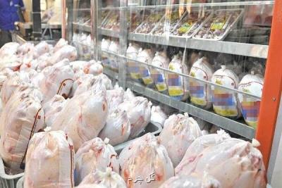 توزیع مرغ به قیمت دولتی در میادین میوه و تره بار