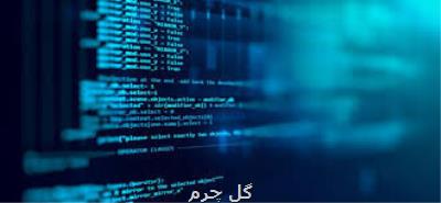 نخستین بوت كمپ تخصصی برنامه نویسی