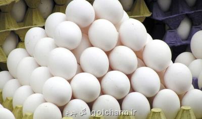 تخم مرغ هایی كه دولت می خرد، در بازار آزاد و گران فروخته می شود!