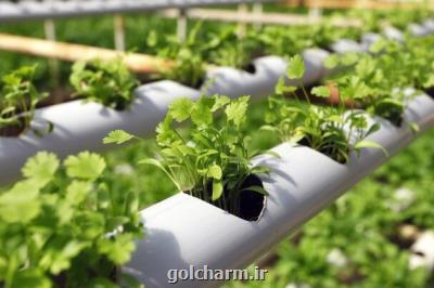 موافقت نامه همكاری ایران، قطر و عمان در زمینه حفظ نباتات به امضا رسید