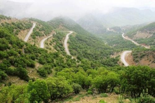 سند جامع حفاظت از زیست بوم زاگرس بهار آینده نهایی می شود