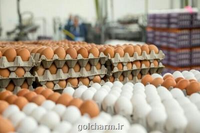 كاهش ۳۰۰۰ تومانی قیمت هر شانه تخم مرغ